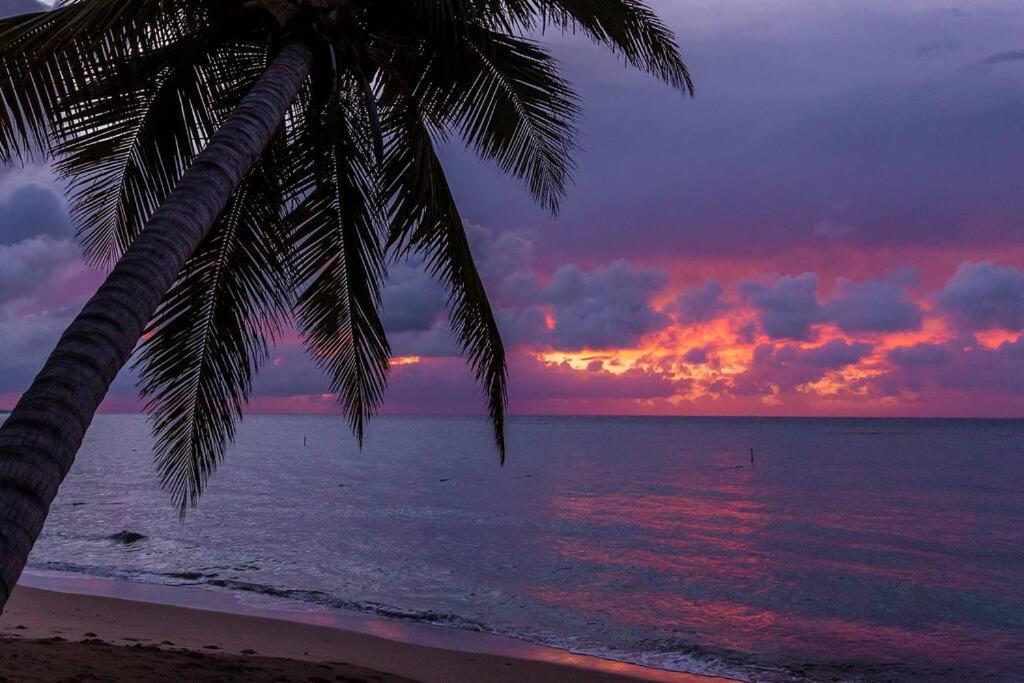 One Bedroom Apt 30 Steps From Prime Beach Generator Parking Included San Juan Esterno foto